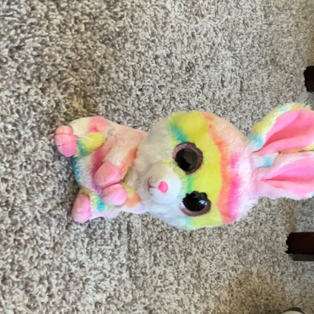 A bunny
